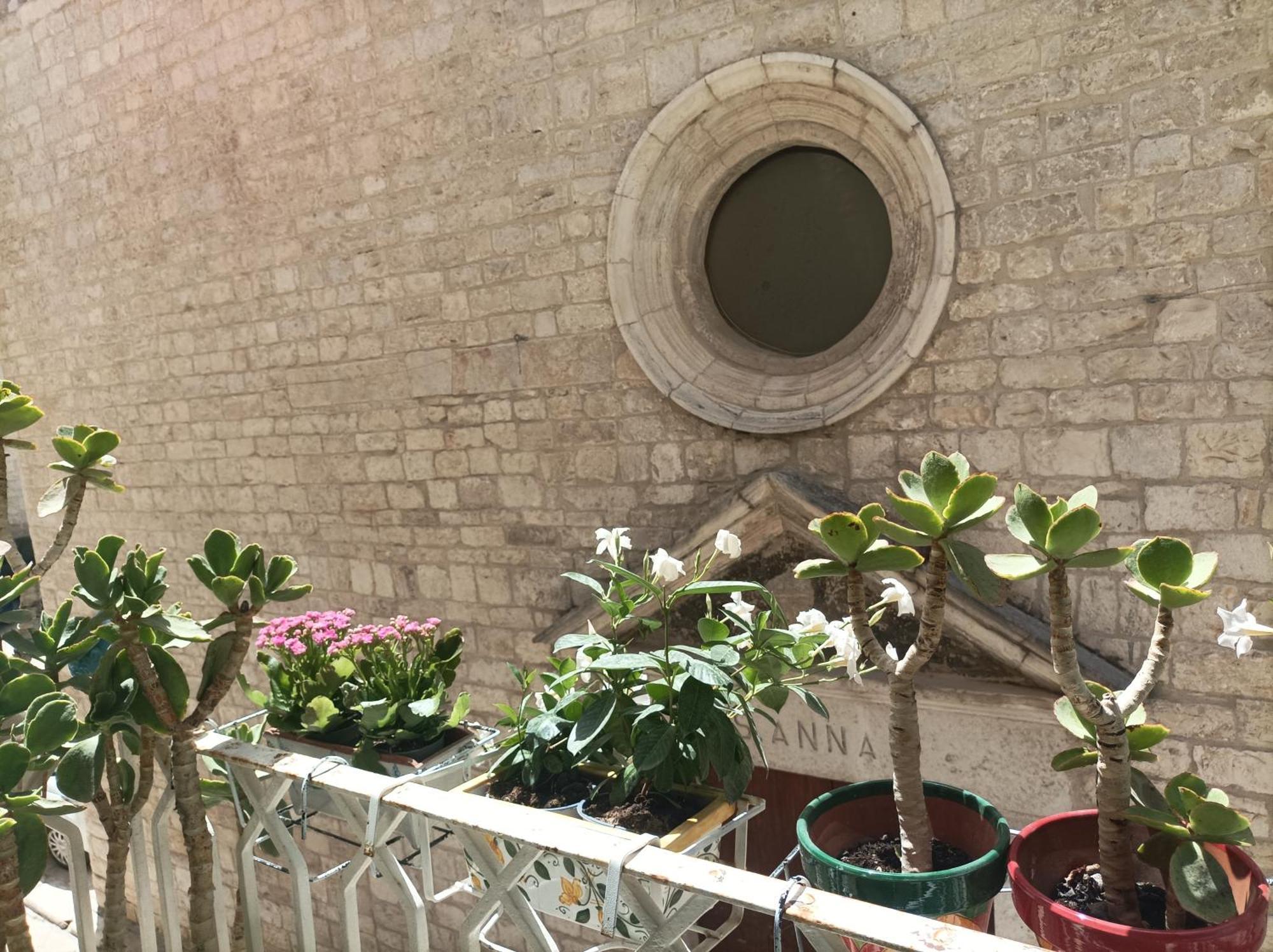 טרני Casa Vacanze Il Geco מראה חיצוני תמונה